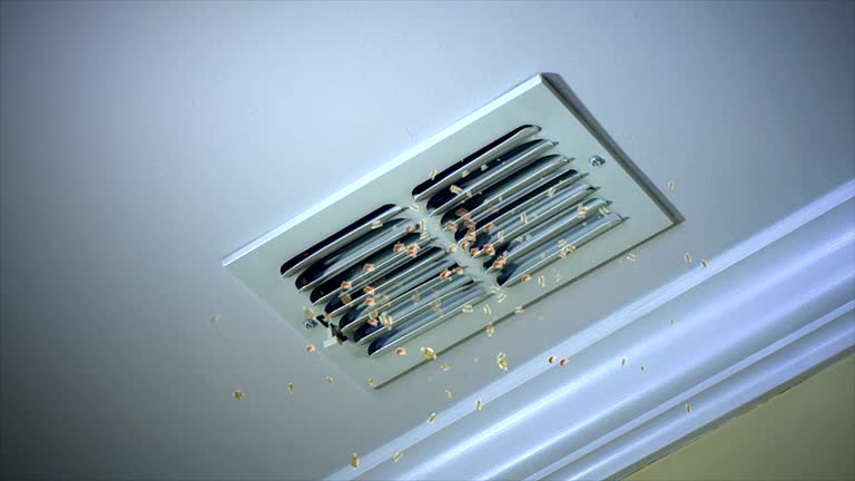 Best Affordable Duct Cleaning Services  in West Ack, NY