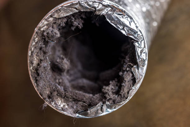 Best Local Air Duct Cleaning Services  in West Ack, NY